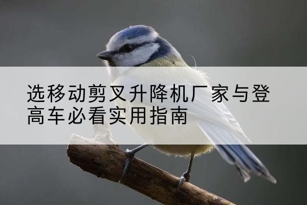 桂东电动升降机厂家-选移动剪叉升降机厂家与登高车必看实用指南