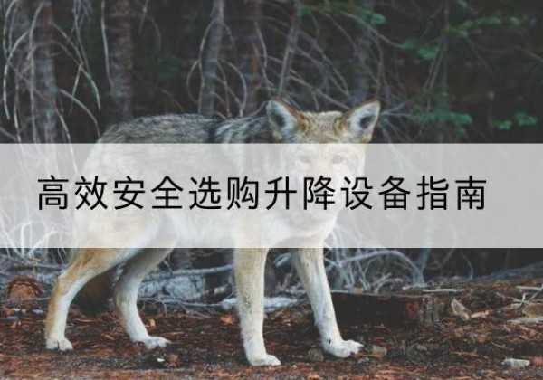 桂东升降货梯厂家推荐-*安全选购升降设备指南