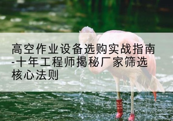 桂东剪叉式升降机厂家-高空作业设备选购实战指南-十年工程师揭秘厂家筛选核心法则